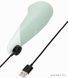 Мінівібратор Womanizer Vibe Sage, 3 авторежими + 10 рівнів інтенсивності SX2146 фото 6