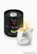 Масажна свічка Plaisirs Secrets White Tea (80 мл) подарункова упаковка, керамічний посуд SO1858 фото 1