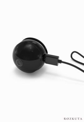 Набір вагінальних кульок Dorcel Training Balls, діам. 3,4 см, вага 20-117гр, є вібрація, пульт ДК SO3075 фото