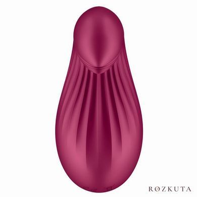 Вібратор Satisfyer Dipping Delight Berry, 2 мотори SO6990 фото